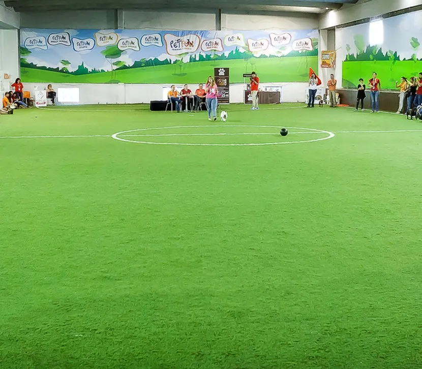 Espaços da Pet Fun